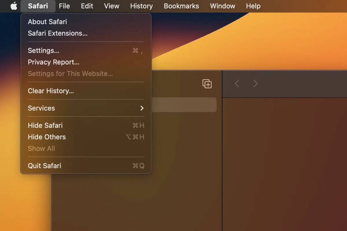 A screenshot of a Safari browser on desktop, showing the basic Safari settings tab