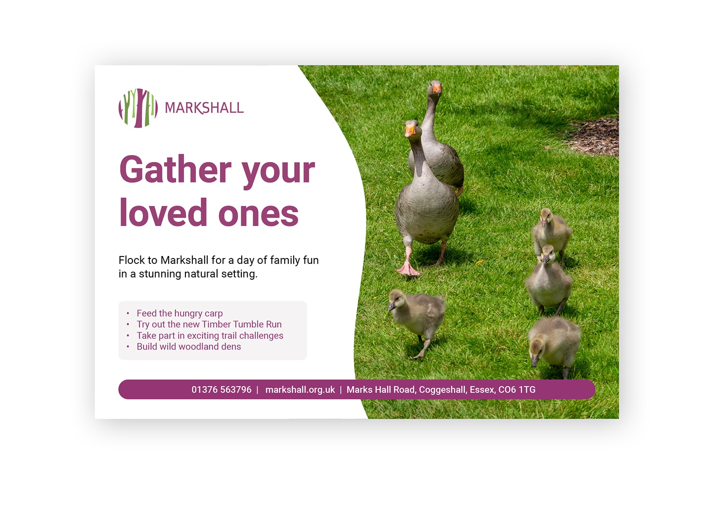 Website Launch: Calgary Avansino