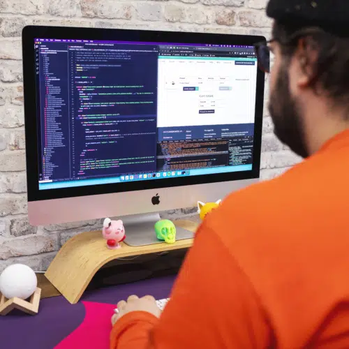This is Fever developer at work