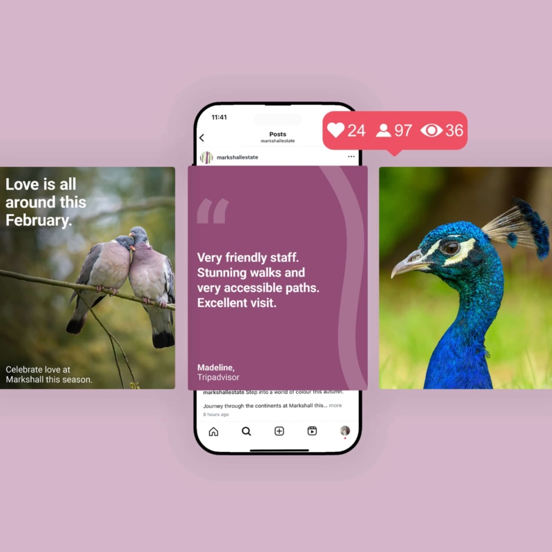 Markshall Estate social media marketing examples