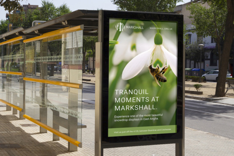 Markshall adverting on bus shelter